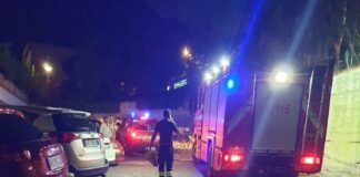 Palmi, crolla un albero dentro la Cooperativa Oriente. Danneggiata un’auto