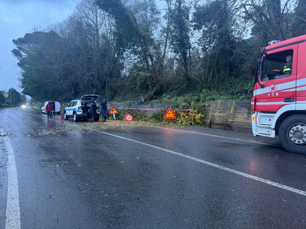 Allerta meteo, diversi gli interventi della Polizia locale di Palmi