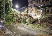 Arpacal: “Tra gli eventi più rari delle serie storiche”. Dieci giorni di piogge eccezionali in Calabria