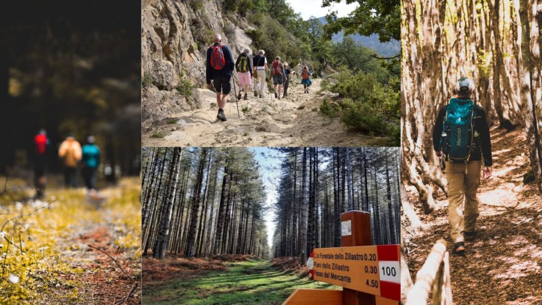 Sentiero Calabria: una finestra sulla straordinaria bellezza dell’entroterra calabrese