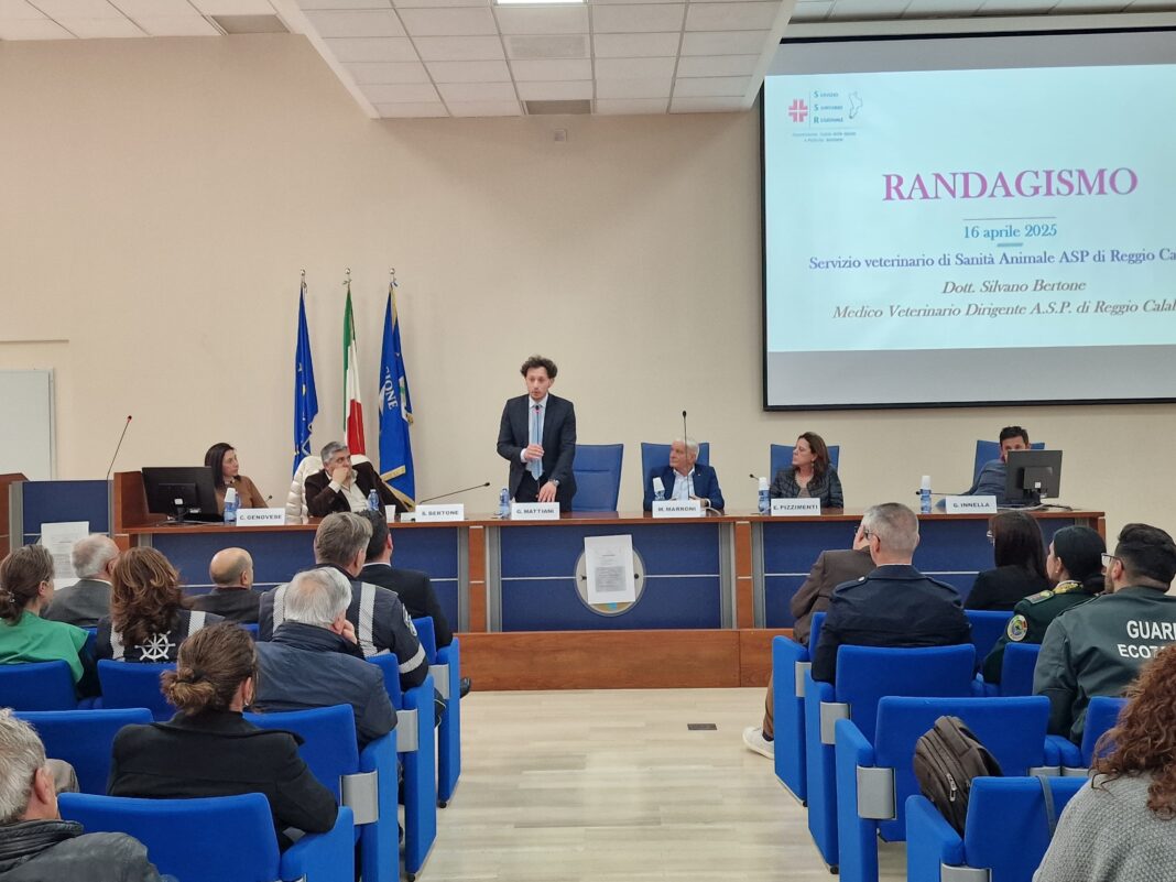 Randagismo, Mattiani: impegno collettivo e nuove strategie per tutelare il benessere animale e la salute pubblica