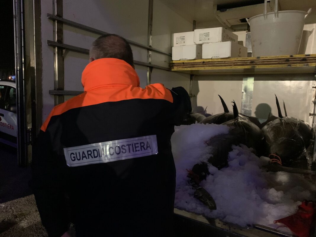 “Blitz della Guardia Costiera a Palmi: sequestrati 1000 kg di tonno rosso pescato illegalmente