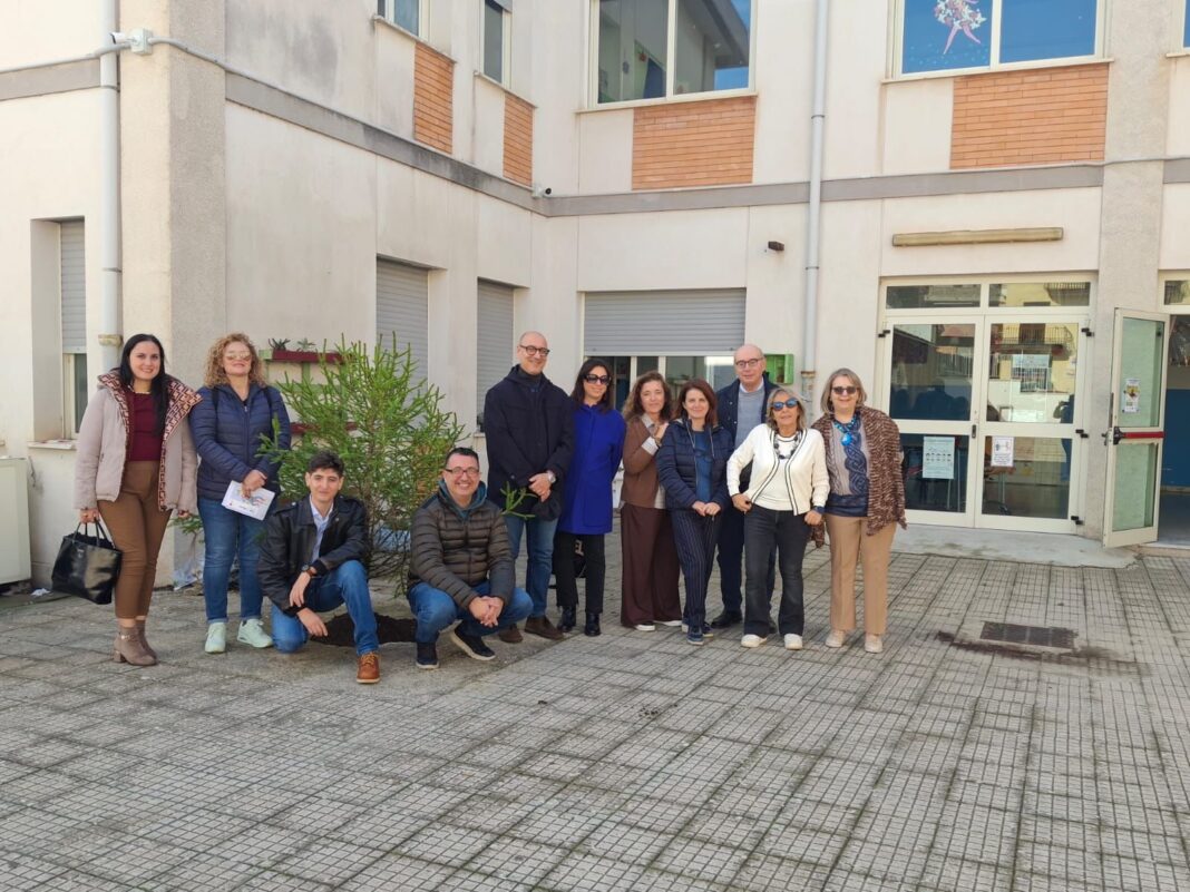 Palmi, quando un albero mette radici, cresce anche la comunità