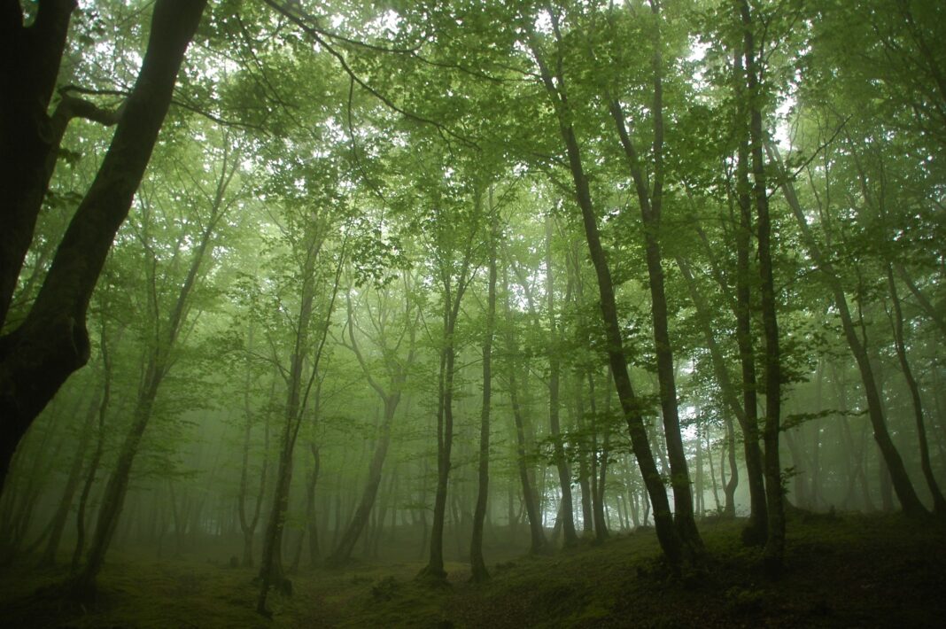 Parco Nazionale dell’Aspromonte e CAI insieme per la tutela e la valorizzazione della montagna