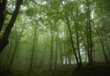 Parco Nazionale dell’Aspromonte e CAI insieme per la tutela e la valorizzazione della montagna