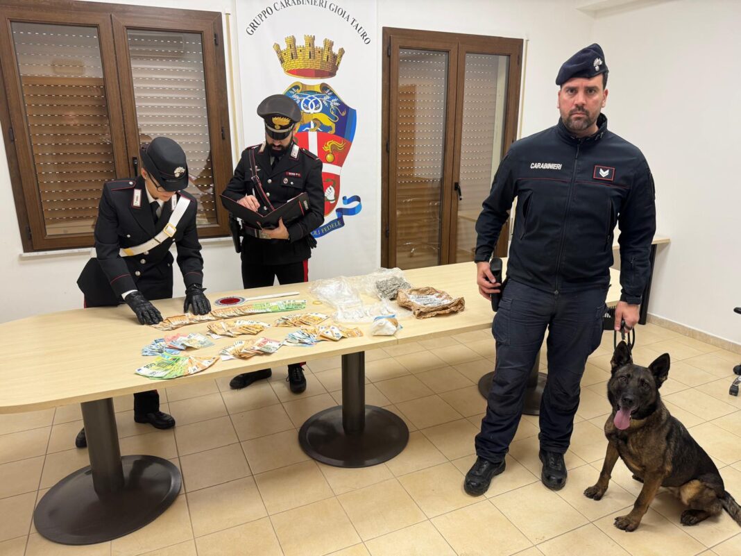 GIOIA TAURO: COCAINA E MARIJUANA NASCOSTE IN CASA E IN UN TERRENO. ARRESTATO UN UOMO GRAZIA AL FIUTO DEL CANE ANTIDROGA