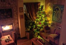 Dall’albero sacro all’albero di Natale: un viaggio tra mito, fede e tradizione