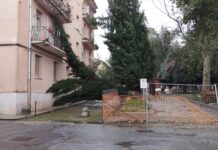 Pisano: “Cittadini di Polistena esposti a rischi evitabili. Il Sindaco intervenga subito”