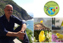 Pino Parrello ancora campione del mondo: il palmese trionfa al Mondiale COM 2026 in Belgio