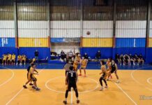 Under 19: Palmi lotta, ma la Scuola Basket Viola passa allo “Scatolone”