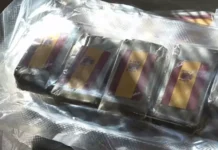 Stretto di Messina, sequestrati 4 chili di hashish agli imbarcaderi: arrestato corriere grazie al fiuto del cane Lord