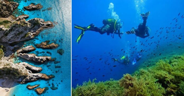 parchi-marini-calabria