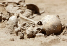 Dna dalla Grotta del Romito: scoperta la più antica malattia genetica diagnosticata nella preistoria