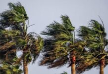 ALLERTA METEO: TEMPESTA DI VENTO IN CORSO SULLA PIANA