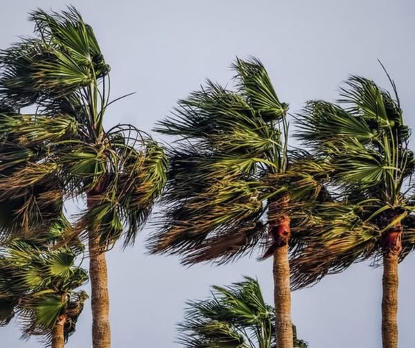 ALLERTA METEO: TEMPESTA DI VENTO IN CORSO SULLA PIANA