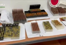 Sequestro di Armi a Gioia Tauro: Dettagli e Arresti