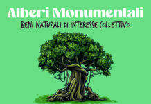 Calabria, Alberi Monumentali: patrimonio vivo della comunità