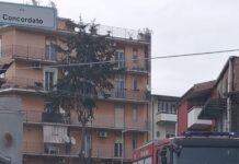 Maltempo a Palmi, scuole chiuse anche domani: alberi caduti e strade interrotte