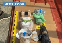 Arsenale sotterrato e cocaina: operazione della Squadra Mobile a Gioiosa Ionica, un arresto