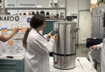 All’Unical nasce la learning factory della birra: studenti gestiscono un microbirrificio con IA, digital twin e realtà aumentata