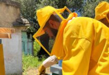 Apicoltura e miele di Calabria, se ne parla allo storico Istituto Tecnico Agrario di Palmi (RC)