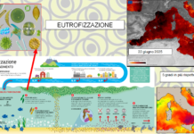 San Ferdinando lancia “Mare e Aria Puliti 2026”: parte la cabina di regia per la tutela ambientale