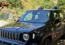 San Giorgio Morgeto, sottratti mezzi comunali: due indagati ai domiciliari dopo l’inchiesta dei Carabinieri