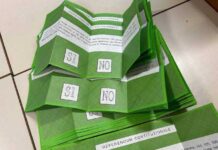 Referendum, nella Piana ha prevalso il Sì