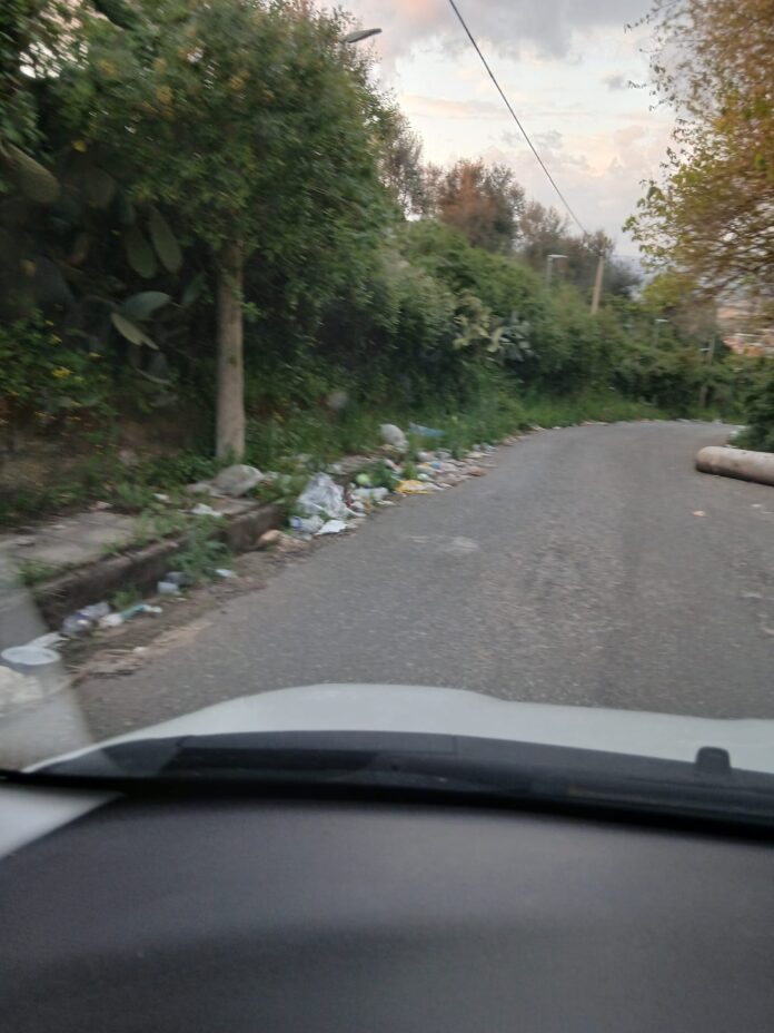 WhatsApp Image 2026-03-24 at 18.50.53 (3)