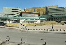 Università Magna Graecia, 10 rinvii a giudizio nell’inchiesta sugli stabulari