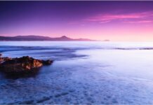 Bagnara Calabra, imprenditori uniti per “Costa Viola 365”: nasce il progetto per un turismo integrato e competitivo