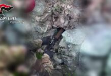 Ciminà, scoperto arsenale nascosto in un muretto a secco: operazione dei Carabinieri contro la detenzione illegale di armi