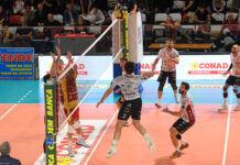 Conad Reggio Emilia in A2: Domotek RC lotta ma si arrende al Palabigi