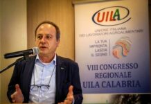 VIII Congresso UILA Calabria: il Direttore di Cia-Agricoltori Italiani CalabriaFranco Belmonte rilancia sul “Piano Straordinario di Manutenzione delTerritorio”