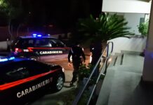 San Luca, i Carabinieri smascherano una truffa online: denunciato un giovane del Crotonese