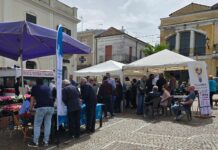 Grande Partecipazione allo Screening Sanitario In piazza di Domenica 10 maggio a Polistena