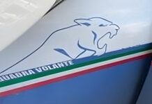Polizia di Stato: arrestata in flagranza di reato una coppia a Melito di Porto Salvo per detenzione di stupefacenti