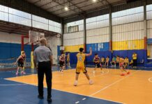 Palmi ruggisce allo “Scatolone”: Pollino Basket battuto, l’Under 17 vola in Semifinale