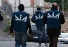 Polizia e DIA, maxi‑sequestro tra Calabria, Emilia, Lombardia e Lazio: colpita azienda riconducibile ai Piromalli‑Molè