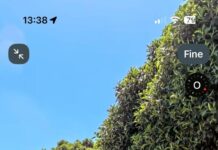 Rosarno, i consiglieri Ferrarini e Italiano interrogano il Sindaco sull’abbattimento degli alberi in piazza Mastrilli