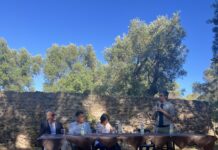 Palmi,Parco dei Taureani: le Giornate Europee dell’Archeologia, ponte fra passato e futuro