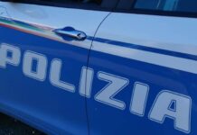 Polizia di Stato: Rinvenuta nel Comune di Brancaleone una piantagione di papavero da oppio