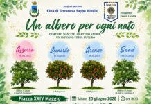 “Un albero per ogni nato”: il Lions Club Polistena “Brutium” e il Comune di Terranova S. M. insieme per un futuro più verde e più umano