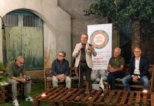 Serrata, alle Tenute De Giglio un viaggio tra identità, vino e sostenibilità