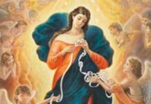 Bagnara Calabra, alla Cittadella dell’Immacolata la preghiera alla Madonna che scioglie i nodi: fede, speranza e affidamento