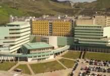 Università Magna Graecia Catanzaro: “Istituito ufficialmente Corso Laurea in Terapia della Neuro e Psicomotricità dell’Età Evolutiva”