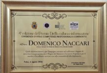 Palmi, All’Avv. Domenico Naccari il Premio “Diritto, Cultura e Informazione” 2026