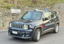 Carabinieri di Reggio Calabria denunciano tre persone per illeciti ambientali nelle zone di Mosorrofa e Cataforio