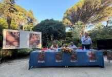 Radici che uniscono: Cittanova premia storie, talenti e memoria