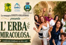 A Melicuccà arriva “L’Erba Miracolosa”: quando l’ingenuità diventa irresistibile